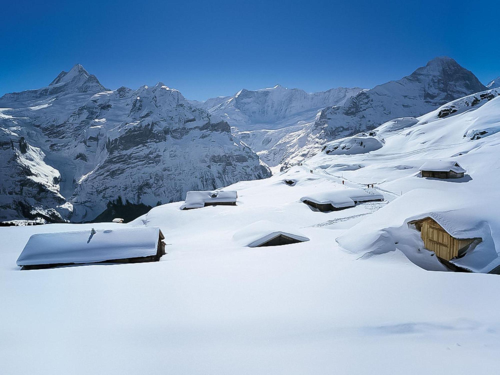 Apartment Chalet Mettli-2 By Interhome Grindelwald Exterior photo